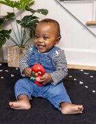 Baby Einstein Roxy's Bright Flight™ jucărie muzicală 3m 1 buc