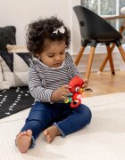 Baby Einstein Roxy's Bright Flight™ jucărie muzicală 3m 1 buc