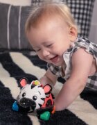 Baby Einstein Zen the Zebra™ Curious Car mașinuță cu zornăitoare 3 m+ 1 buc