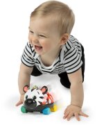 Baby Einstein Zen the Zebra™ Curious Car mașinuță cu zornăitoare 3 m+ 1 buc