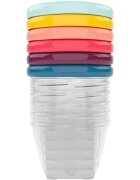 Babymoov Bowls Multicolor castron cu capac Color 6x180 ml