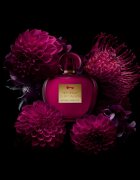 Banderas Her Secret Temptation Eau de Toilette pentru femei 50 ml