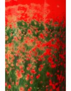 Baobab Collection Arty Flowers Poppies lumânare parfumată 1000 g
