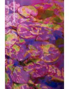 Baobab Collection Arty Flowers Water Lily lumânare parfumată 1000 g