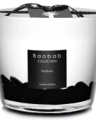 Baobab Collection Feathers lumânare parfumată 500 g