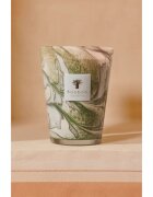 Baobab Collection Leaves Marius lumânare parfumată 1000 g