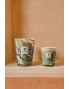 Baobab Collection Leaves Marius lumânare parfumată 1000 g