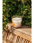 Baobab Collection My First Baobab À Saint-Tropez lumânare parfumată 190 g