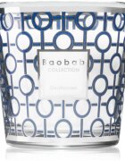 Baobab Collection My First Baobab Gentlemen lumânare parfumată 190 g