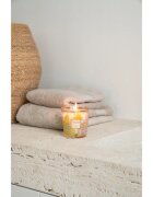 Baobab Collection My First Baobab Miami lumânare parfumată 190 g