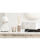 Baobab Collection My First Baobab Platinum set cadou