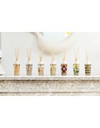 Baobab Collection My First Baobab Roma aroma difuzor cu rezervã 250 ml