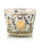 Baobab Collection My First Baobab Tomorrowland lumânare parfumată 500 g