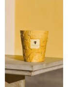 Baobab Collection Paz Dove lumânare parfumată 1000 g
