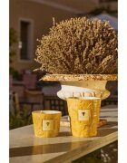 Baobab Collection Paz Dove lumânare parfumată 1000 g