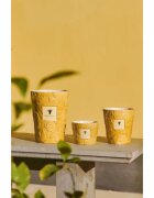 Baobab Collection Paz Dove lumânare parfumată 1000 g