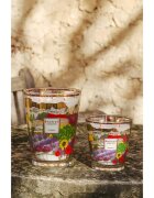 Baobab Collection Provence lumânare parfumată 500 g