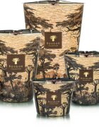 Baobab Collection Sacred Trees Mankono lumânare parfumată 1100 g