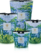 Baobab Collection Sacred Trees Yarani lumânare parfumată 500 g