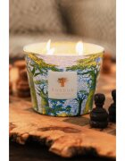 Baobab Collection Sacred Trees Yarani lumânare parfumată 500 g