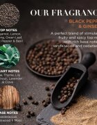 Baylis & Harding Black Pepper & Ginseng set cadou cutie de metal pentru bărbați