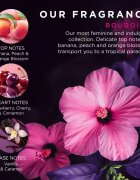 Baylis & Harding Boudoire Tropical Paradise set cadou de maini