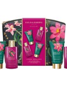 Baylis & Harding Boudoire Tropical Paradise set cadou geanta de cosmetice