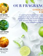 Baylis & Harding Men's Citrus Lime & Mint set cadou pentru barbati