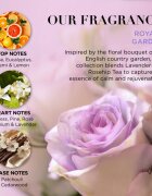 Baylis & Harding Royale Garden Lavender & Rose Hip Tea set cadou