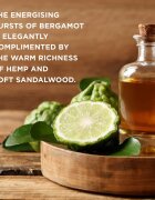 Baylis & Harding The Fuzzy Duck Bergamot Hemp & Sandalwood set cadou de Crăciun pentru barbati