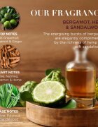 Baylis & Harding The Fuzzy Duck Bergamot Hemp & Sandalwood set cadou pentru barbati