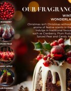 Baylis & Harding The Fuzzy Duck Winter Wonderland set cadou pentru cadă