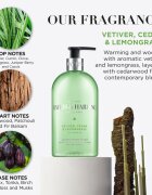 Baylis & Harding Vetiver Cedar & Lemongrass Anti-Bacterial Săpun lichid pentru mâini 500 ml