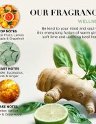Baylis & Harding Wellness. Energise set cadou pentru corp Ginger Lime & Basil Leaf