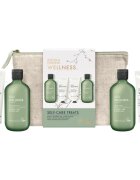 Baylis & Harding Wellness. Energise set cadou pentru corp Ginger Lime & Basil Leaf