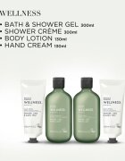 Baylis & Harding Wellness. Energise set cadou pentru corp Ginger Lime & Basil Leaf