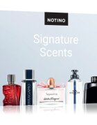 Beauty Discovery Box Notino Signature Scents set unisex