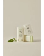 Beauty of Joseon Matte Sun Stick Mugwort + Camelia baton cu protectie solara SPF 50+ 18 g