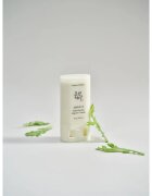 Beauty of Joseon Matte Sun Stick Mugwort + Camelia baton cu protectie solara SPF 50+ 18 g
