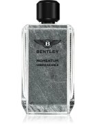 Bentley Momentum Unbreakable Eau de Parfum pentru bărbați 100 ml