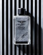 Bentley Momentum Unbreakable Eau de Parfum pentru bărbați 100 ml