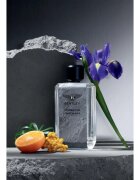 Bentley Momentum Unbreakable Eau de Parfum pentru bărbați 100 ml
