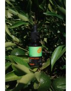 Beviro Bear Oil Summer Line ulei pentru barba Summer Line 30 ml