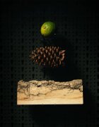 Beviro Bergamia Wood ulei pentru barba cu miros de lemn 30 ml
