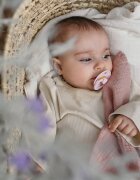 BIBS Colour Natural Rubber Size 1: 0+ months suzetă Haze / Blossom 2 buc