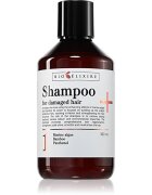 Bioélixire For Damaged Hair șampon fortifiant pentru păr deteriorat 300 ml