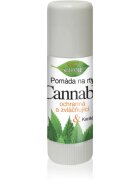Bione Cosmetics Cannabis balsam pentru buze 11 ml