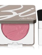 BioNike Color Pretty Touch fard de obraz compact culoare 303 Bois De Rose 5 g