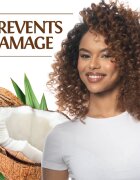 Biosilk Silk Therapy Natural Coconut Oil sampon hidratant cu ulei de cocos 355 ml