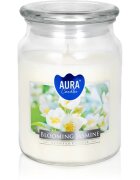 BISPOL Premium Line Jasmine lumânare parfumată 500 g